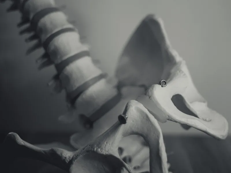 X-Rays at Thornapple River Chiropractic in Grand Rapids
